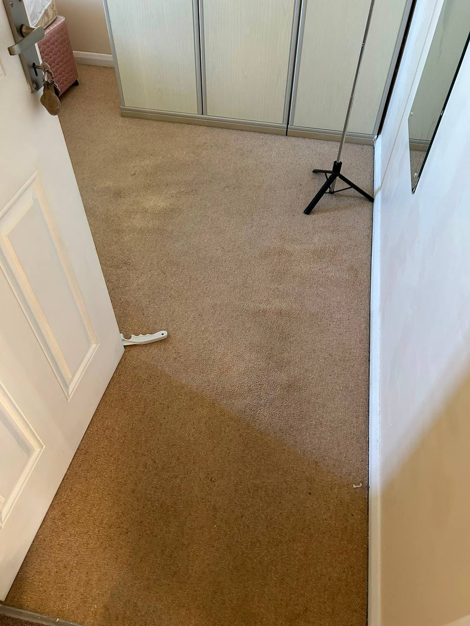 Mid-grey carpeted stairs