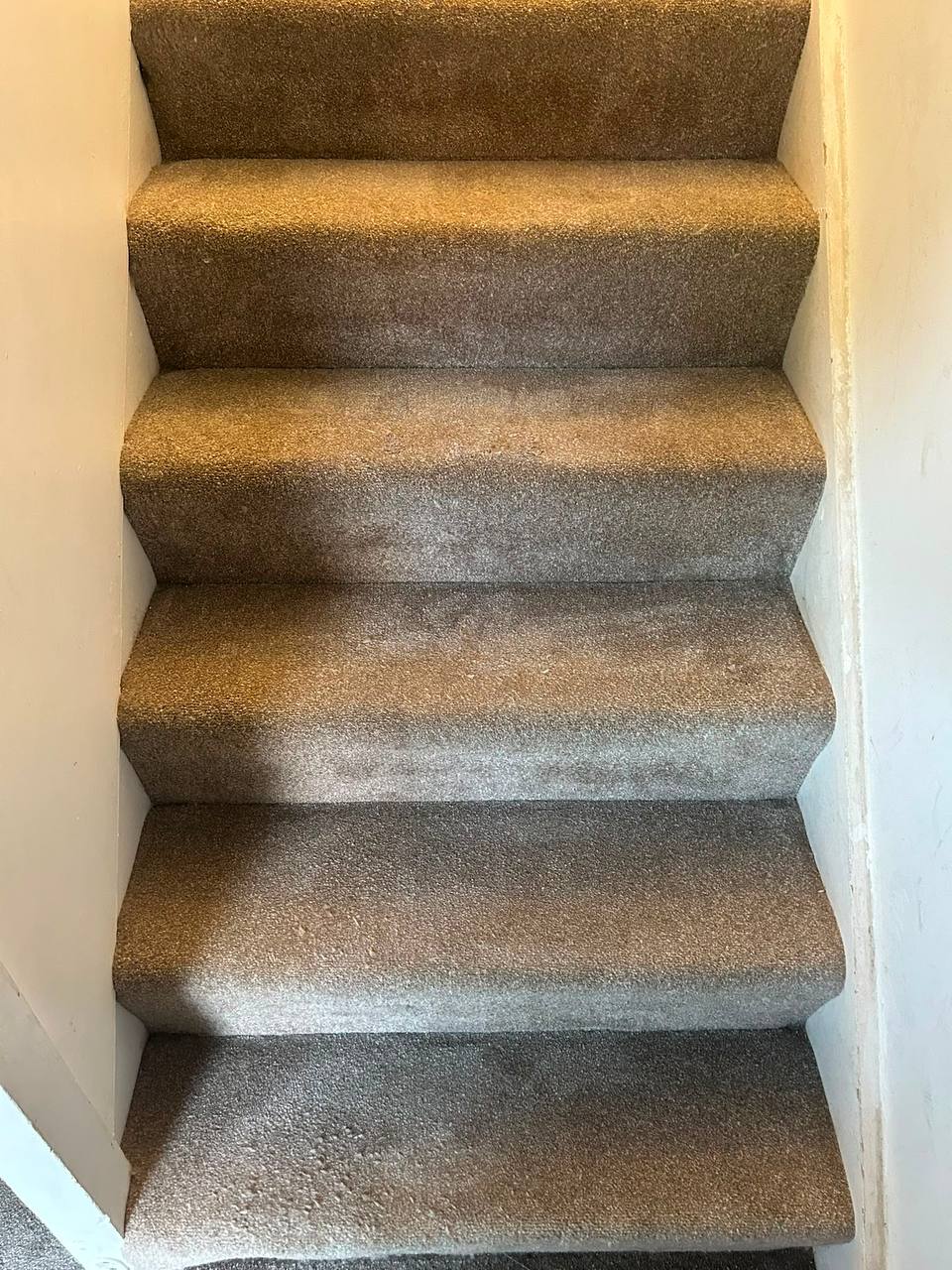 Light brown carpet stairs