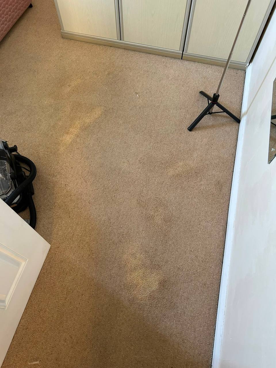 Stain removal
