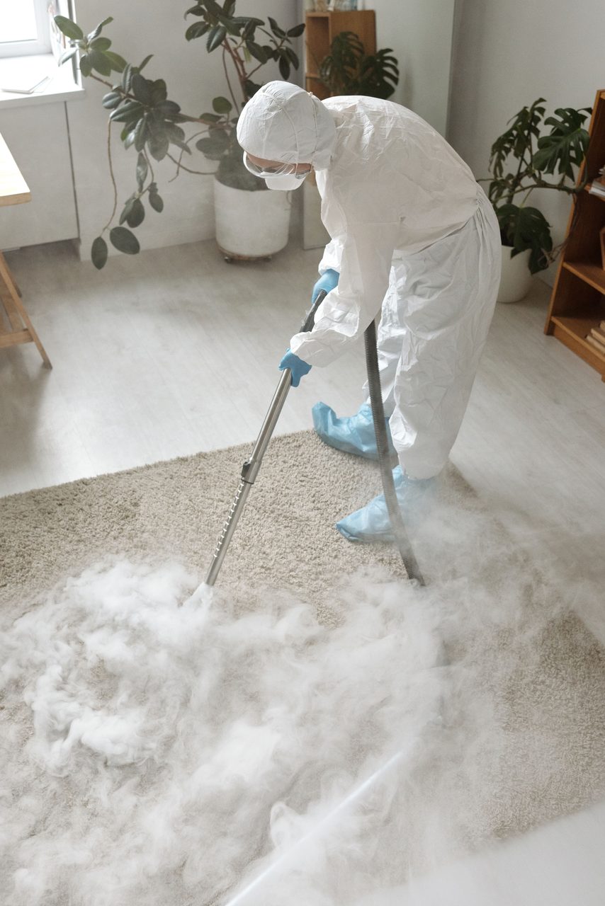 Carpeted living room floor